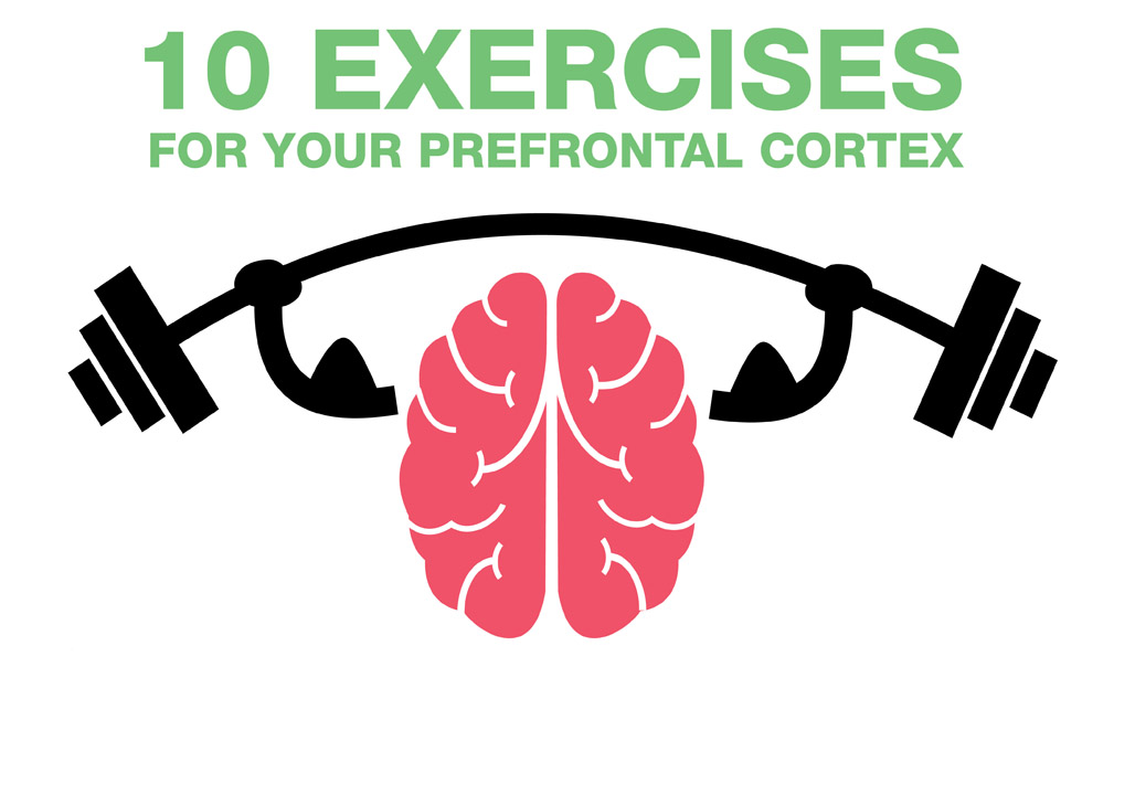 10 Exercises for Your Prefrontal Cortex | Heart-Mind Online